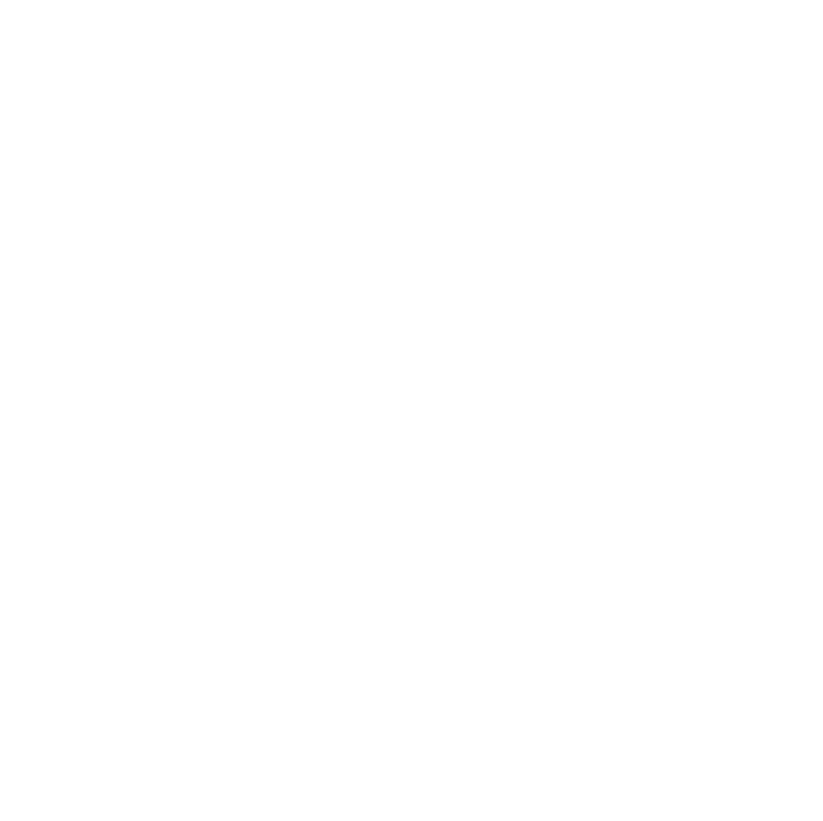 Nexadaya Logo